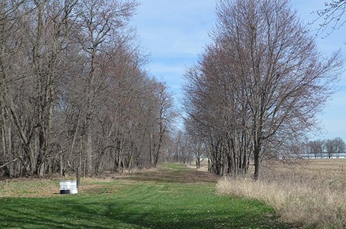 Property photo 141 - REAL ESTATE & PERSONAL PROPERTY AUCTION, 140 Acres offered in 8 Tracts or Combinations in Steuben County